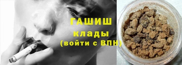 гашик Алексин