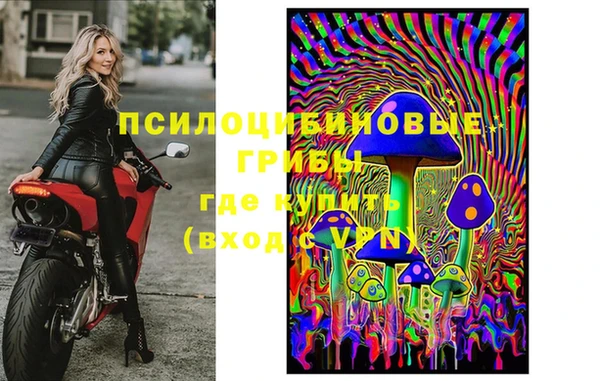 гашик Алексин
